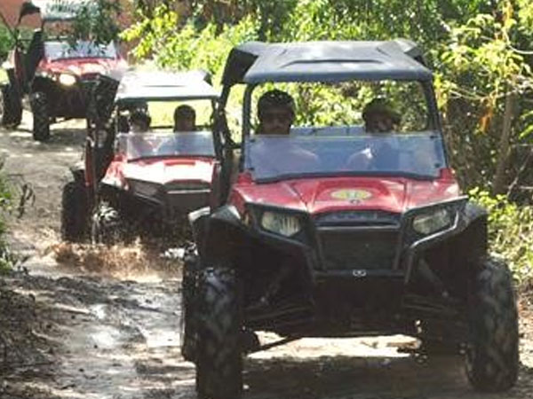 Buggies